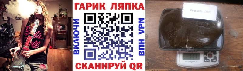ГАШ Изолятор  Купить где  Сегежа 