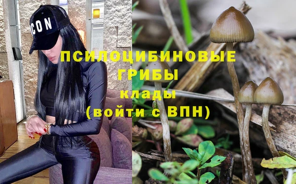 спайс Киреевск