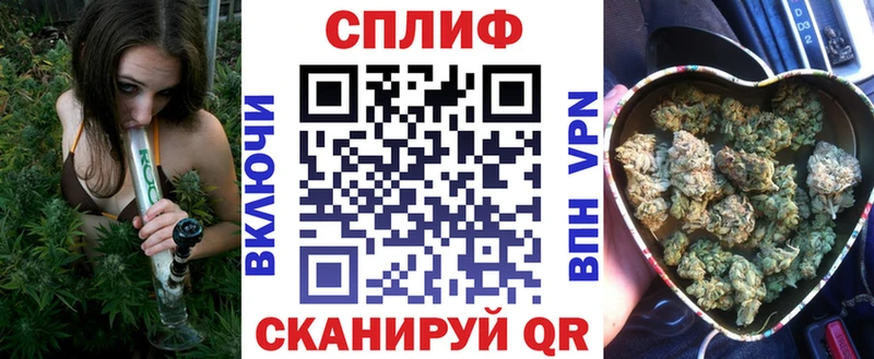 Купить где  Сегежа  Бошки Шишки семена 